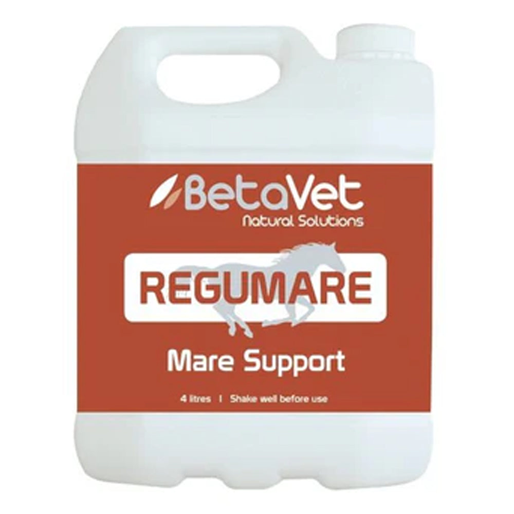BetaVet Regumare Mare Support for Horse