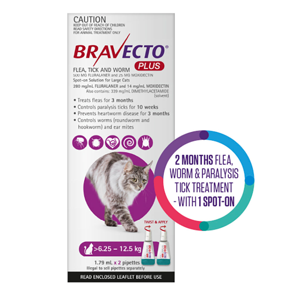 Bravecto Plus for Large Cats 6.25 β 12.5 kg (Purple)