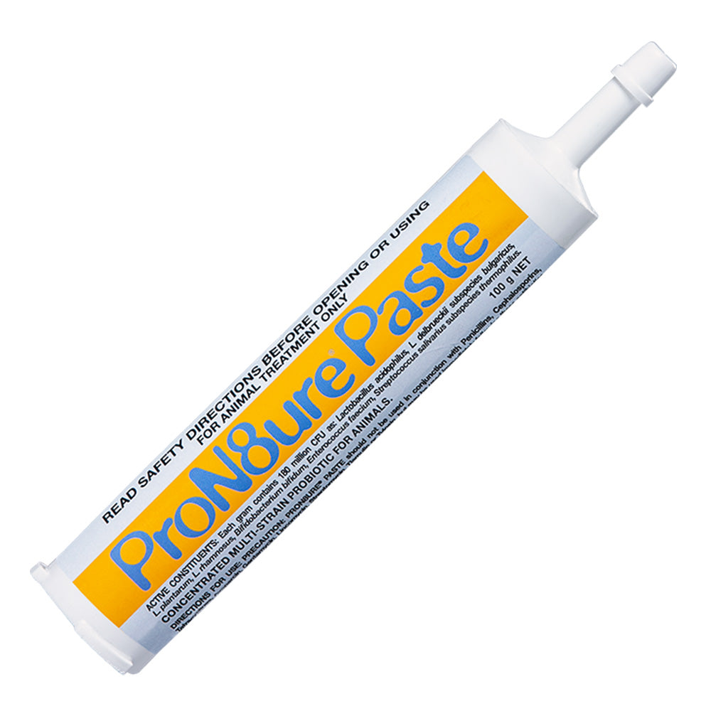 ProN8ure Paste for Dogs