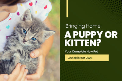 Bringing Home a Puppy or Kitten? Your Complete New Pet Checklist for 2026