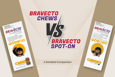 Bravecto Chews vs. Bravecto Spot-On – A Detailed Comparison