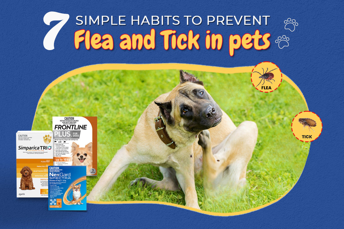 7 Simple Habits to Prevent Fleas & Ticks in Pets