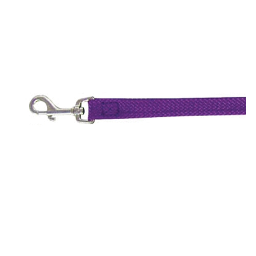 Beau Pets Single Nylon Lead for Dogs - Purple