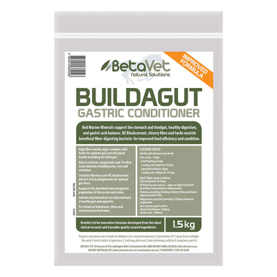 BetaVet BuildaGut Gastric Conditioner for Horse