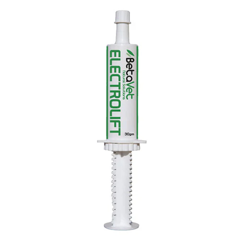 BetaVet Electrolift Electrolyte Paste for Horse