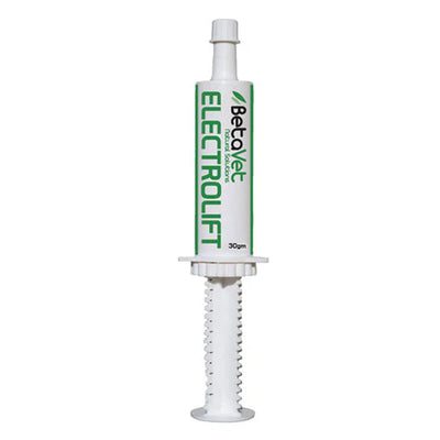 BetaVet Electrolift Electrolyte Paste for Horse