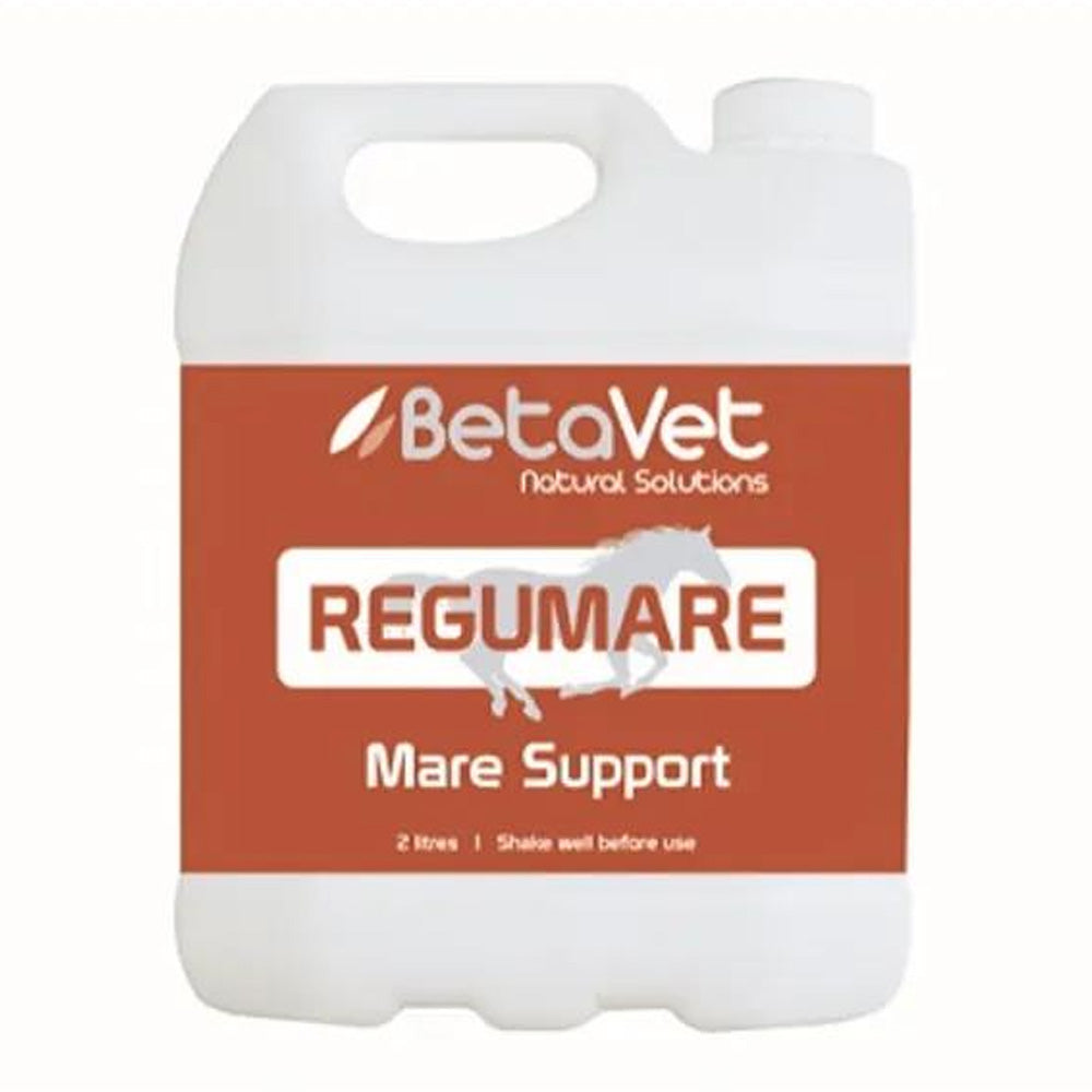 BetaVet Regumare Mare Support for Horse