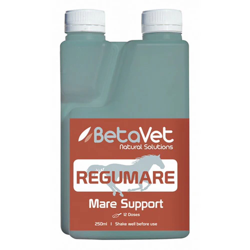 BetaVet Regumare Mare Support for Horse