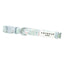 Cocopup London Collar for Dogs DinoPaws