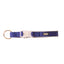 DGS Comet LED Safety Collar (Navy) Large - 2.5cm x 45 - 63cm