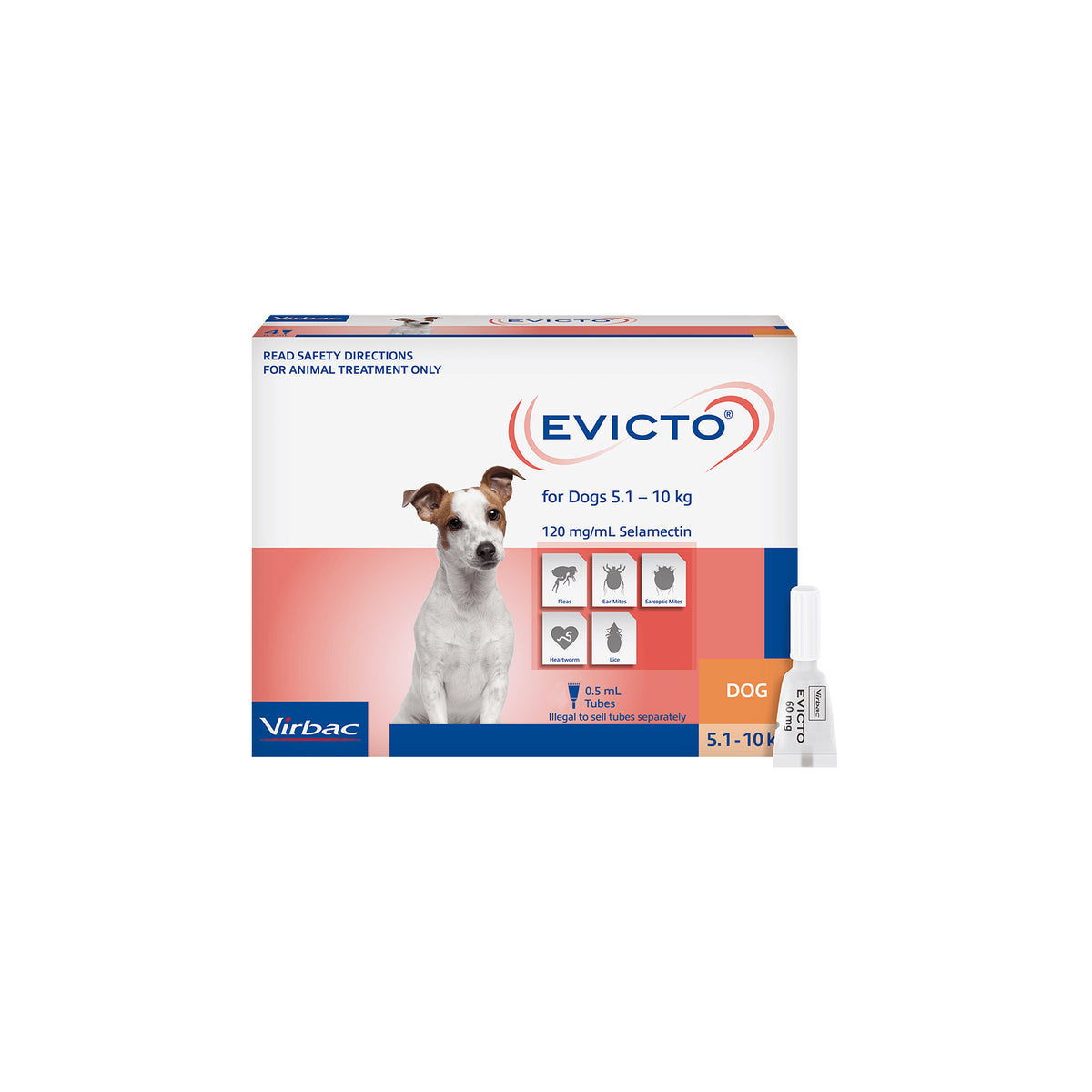 Evicto Rabbit Buy Evicto Spot-on (Selamectin) FOR PUPPIES/KITTENS 2.5KG (GREY) 4 Pack