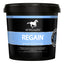 Hygain Regain Rapid Electrolyte Replacer for Horse