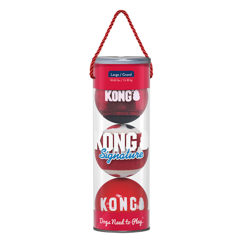 KONG Signature Fetching Toy for Dogs - Assorted Balls