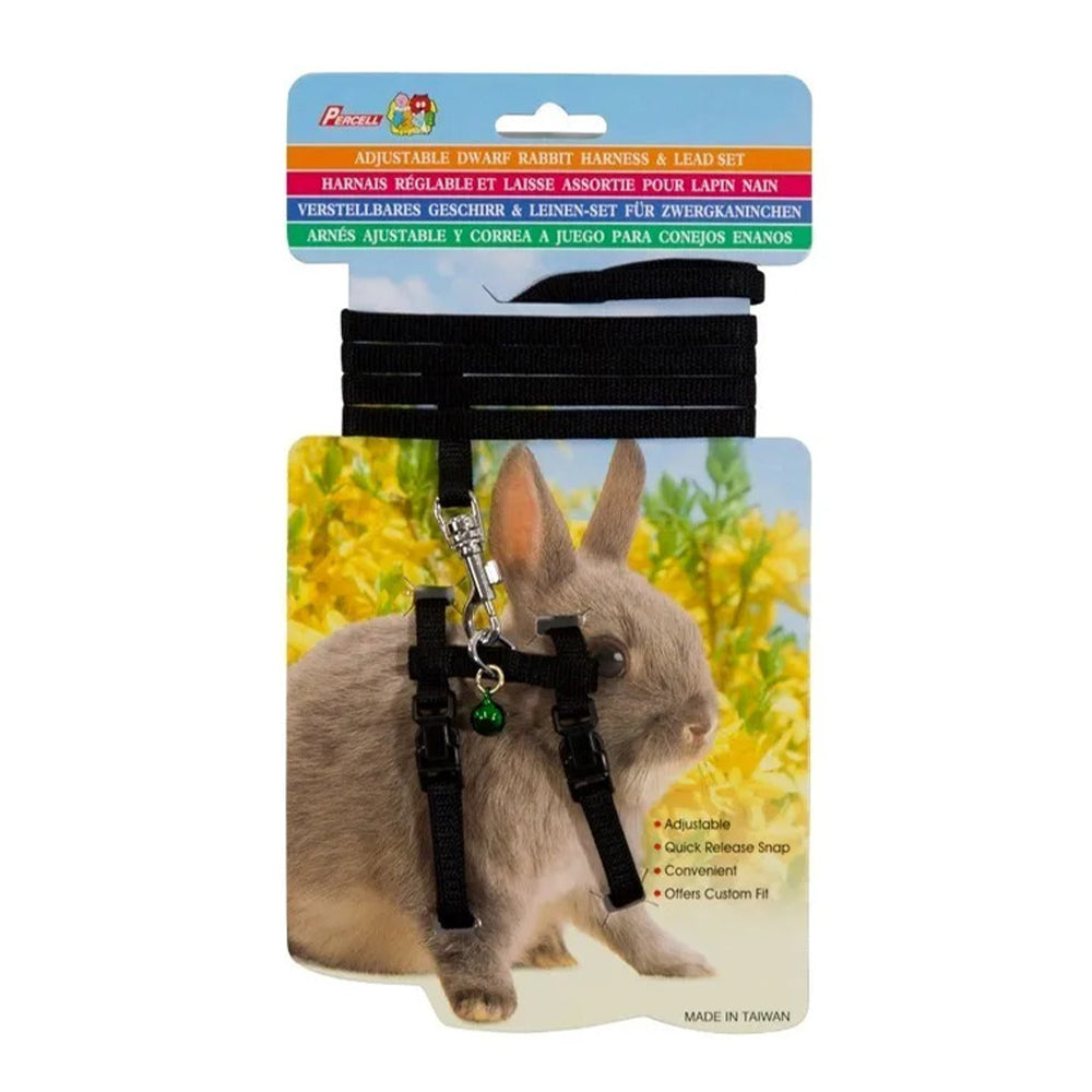 Percell Rabbit Harness - Black