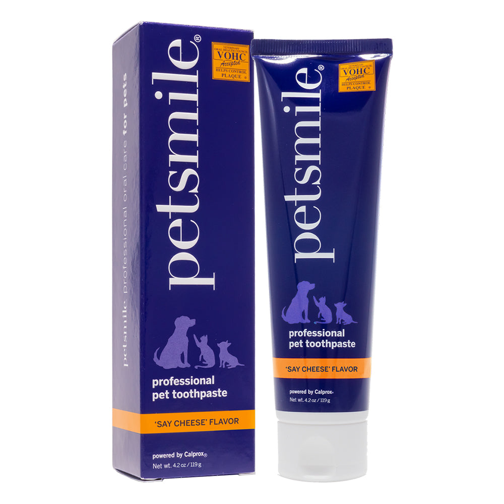 Smiling Toothpaste Dog Buy Petsmile Professional Pet Toothpaste-Say Cheese-Large 119 gm