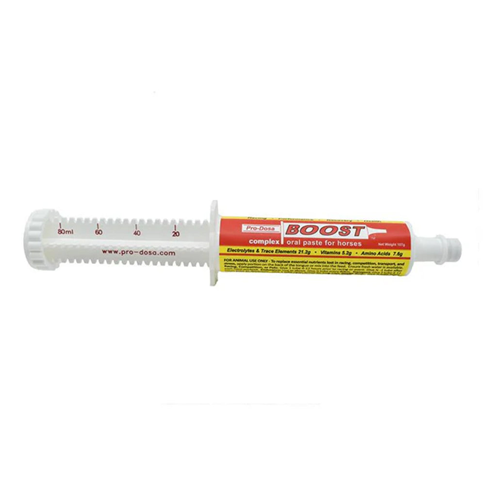 Pro-Dosa Boost Oral Paste for Horse