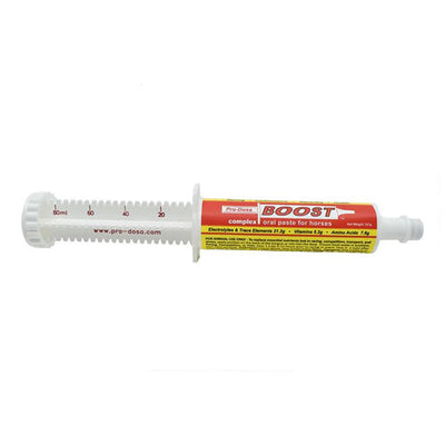 Pro-Dosa Boost Oral Paste for Horse