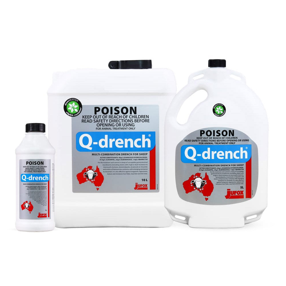 Q-drench for Sheep