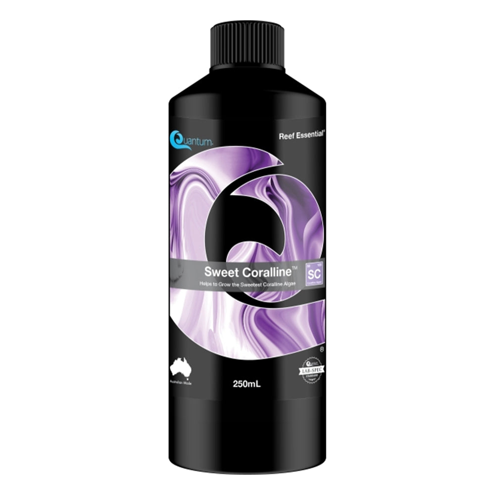 Quantum Sweet Coralline