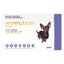 Revolution (Selamectin) For Very Small Dogs 2.6 To 5Kg (Purple)