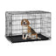 Royale Collapsible Dog Crate - Medium