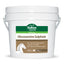Stance Equitec Glucosamine Sulphate Joint Ligament Tendon Support for Horses
