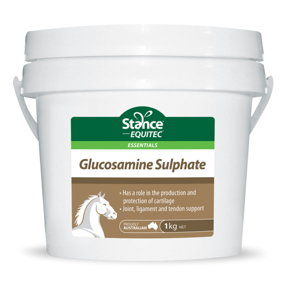 Stance Equitec Glucosamine Sulphate Joint Ligament Tendon Support for Horses